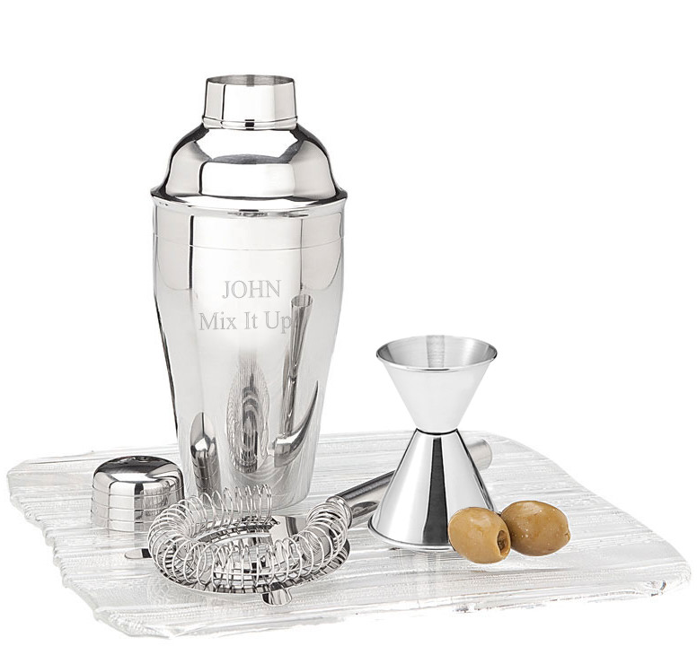 Stainless Steel Cocktail Shaker with 2 Stainless Steel Martini