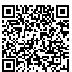 QR Code for Bridal Dress Princess Wedding Party Invitation*