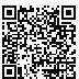 QR Code for Hand Painted Porcelain Honeymoon Car Cake Topper*