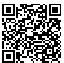QR Code for Personalized Cinderella Favor Tags (60 Precut Pieces)
