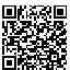 QR Code for Cinderella Crystal Slipper*