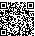 QR Code for Custom Women's Grey Slouchy Crystal Rhinestones Fashion Tee Shirt