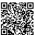 QR Code for Hand Carved Mini Coconut Salt & Pepper Pot Server & Spoon*