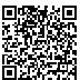 QR Code for Metallic Black Carry-On Chic Zipper & Pocket Travel Duffel Bag*