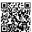 QR Code for Metallic Gold Carry-On Savvy Zipper & Pocket Travel Duffel Bag*