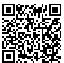 QR Code for 4 GB USB Flash Drive Laser Pen*