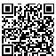 QR Code for White Cotton Lace Wedding Dress Hankie*