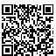 QR Code for A Hole in One Flag Pen Set*