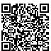 QR Code for Black & Gray Stripe Insulated Outdoor Collapsible *Chic Picnic Cooler Zippered Bag*