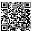 QR Code for Miniature Bees (Set of 12)*
